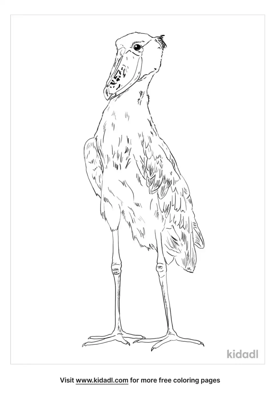 Shoebill Coloring Page