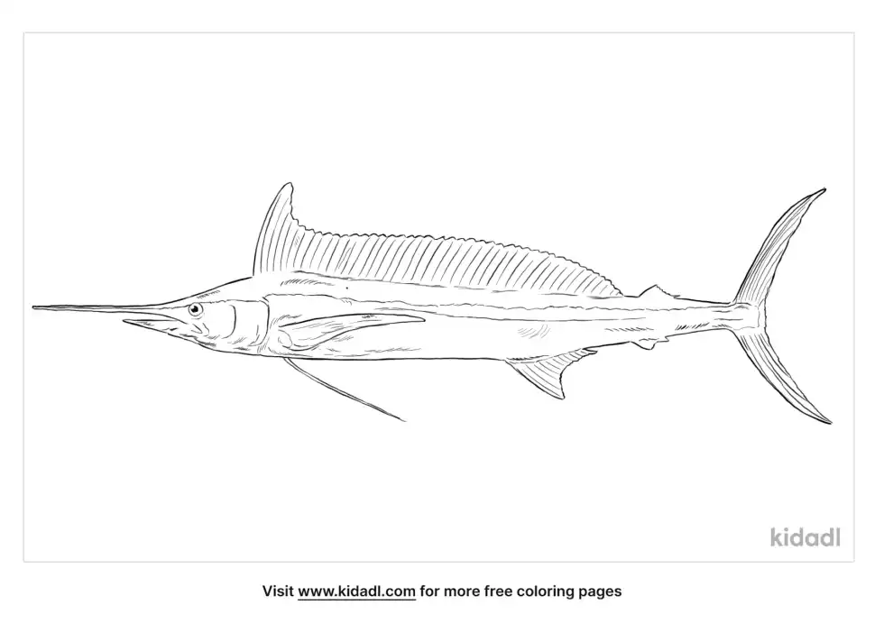 Spearfish Coloring Page