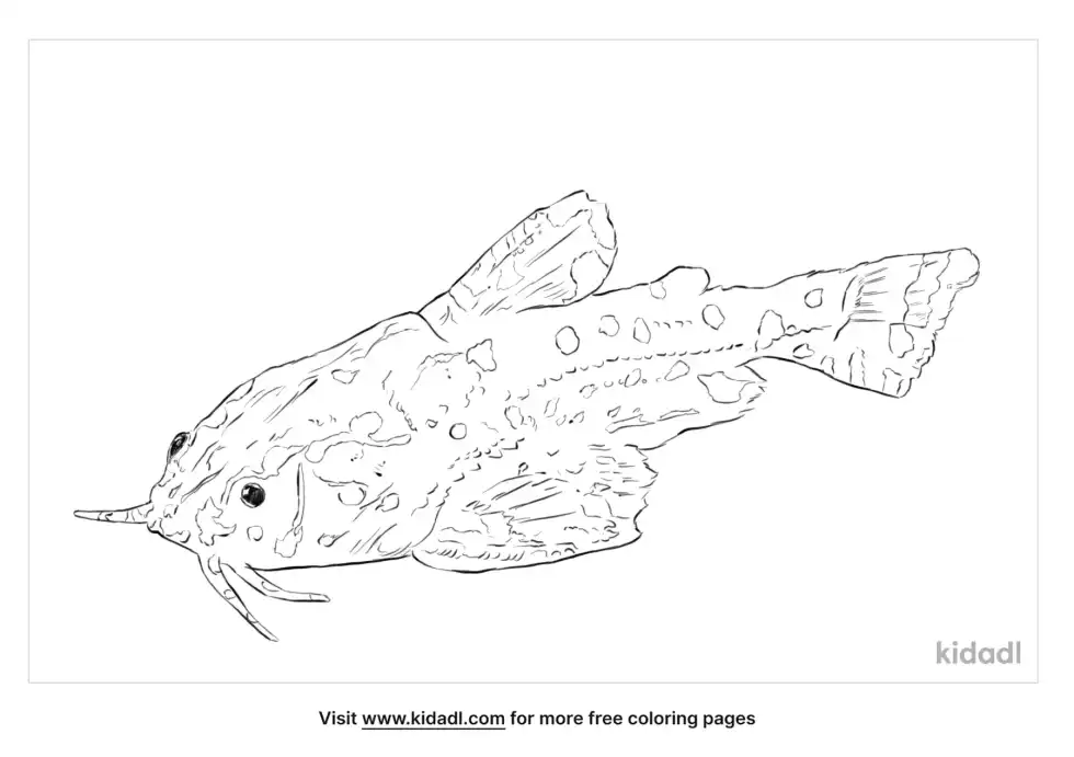 Spotted Catfish Coloring Page