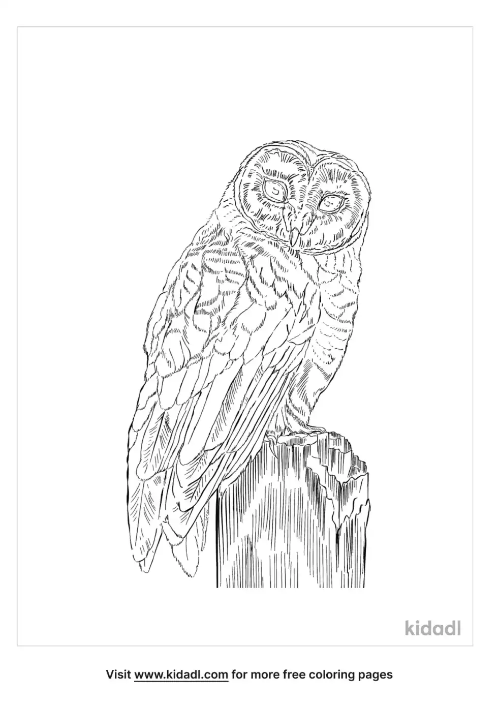 Red Owl Coloring Page