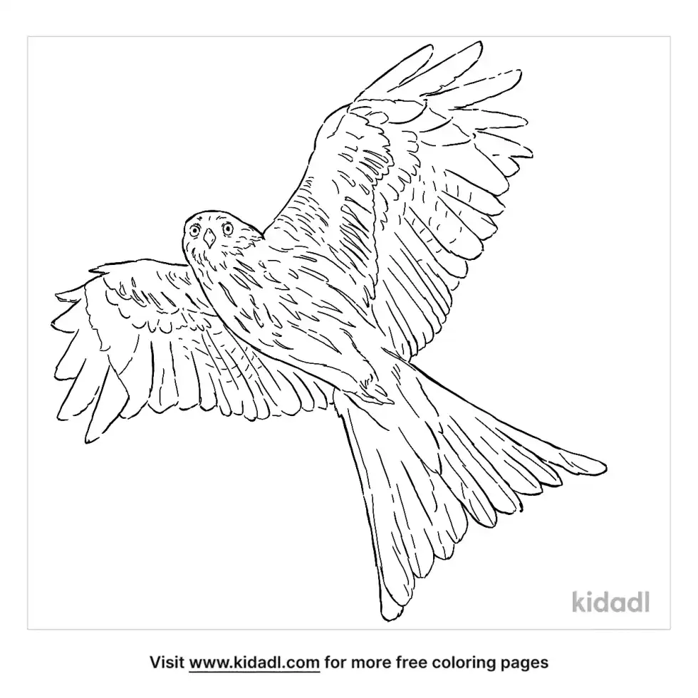 Red Kite Coloring Page