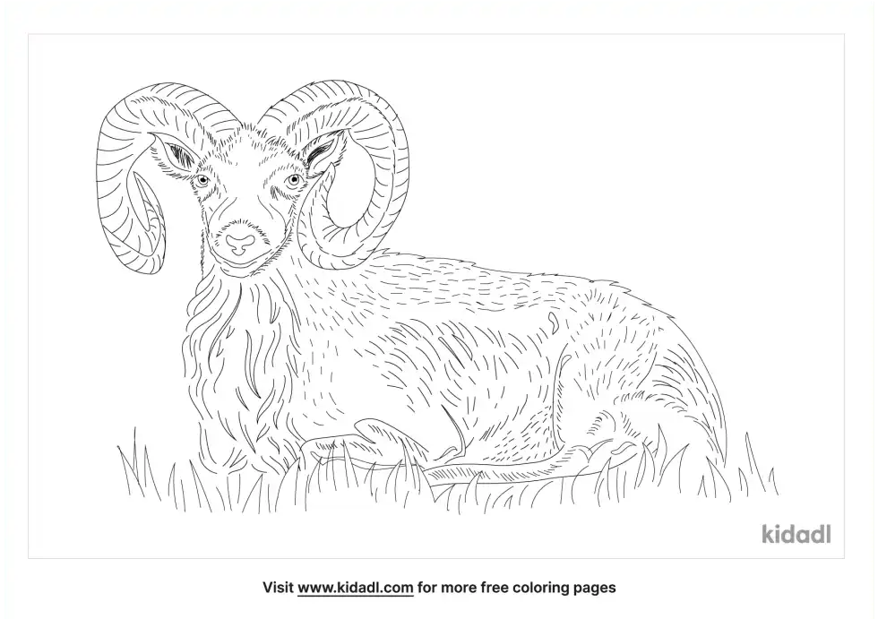 Urial Coloring Page