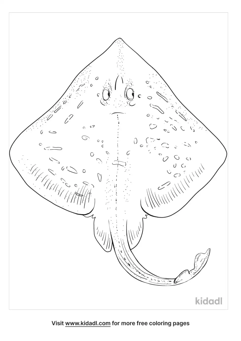 Clearnose Skate Coloring Page