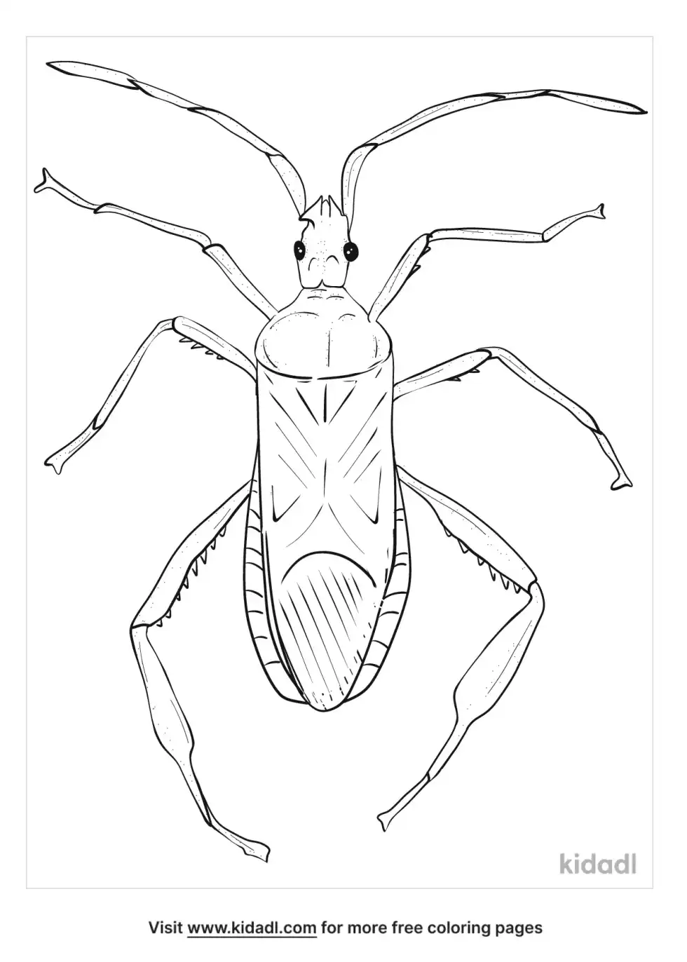 Western Conifer Seed Bug Coloring Page