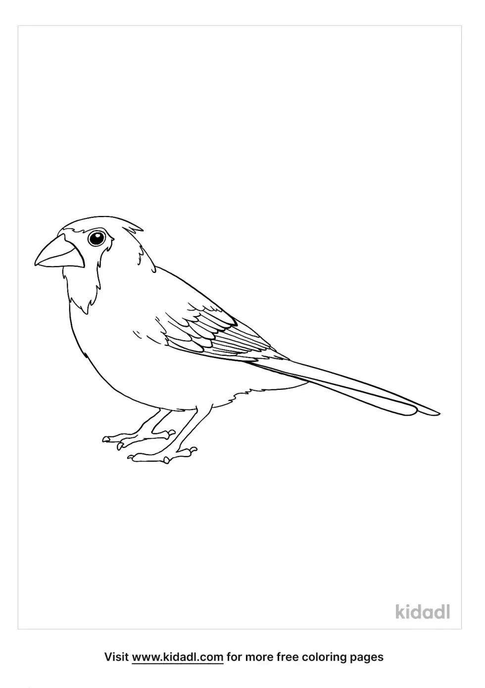 Cardinal Bird Coloring Page