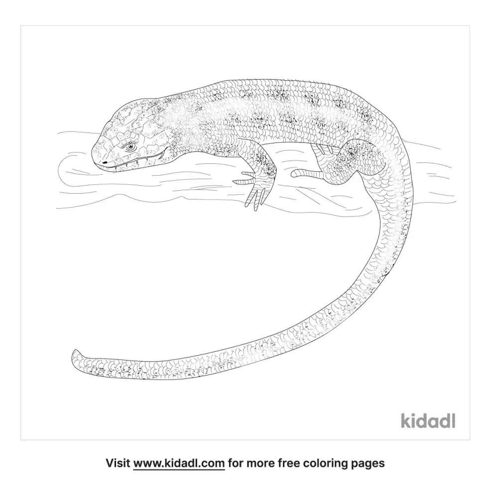 Monkey-Tailed Skink Coloring Page