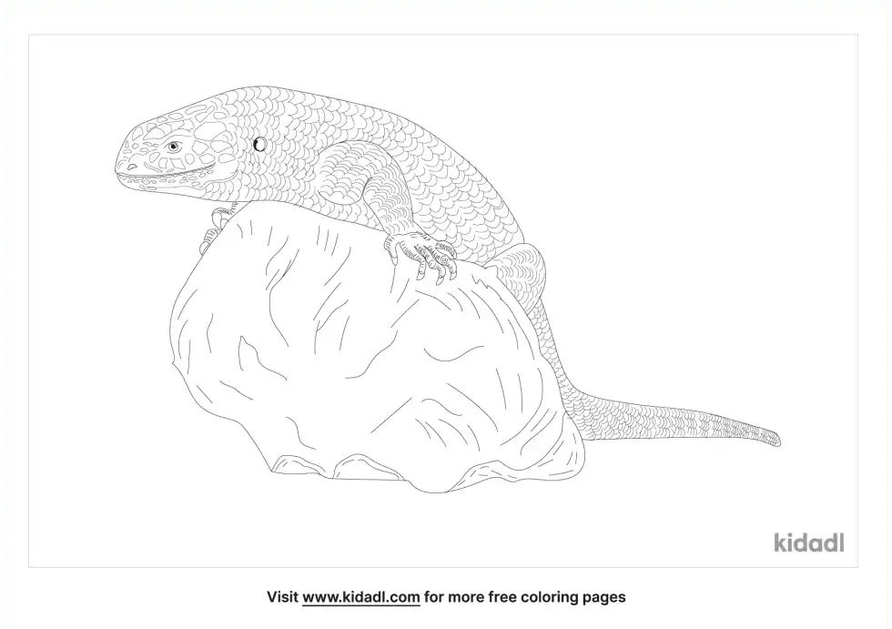 Giant Skink Coloring Page