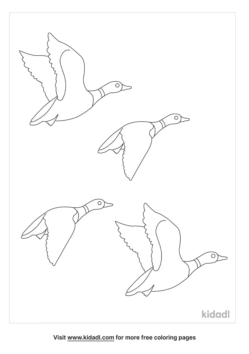 Flock Of Geese Flying Coloring Page