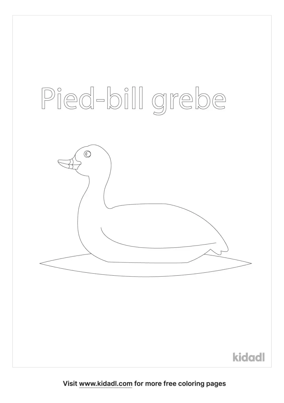Pied-Bill Grebe Coloring Page