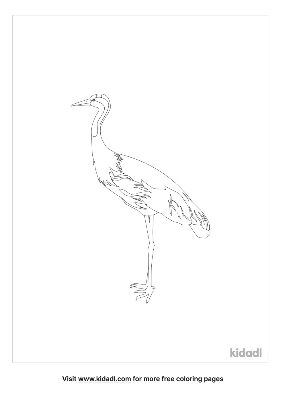 Secretary Bird Coloring Page
