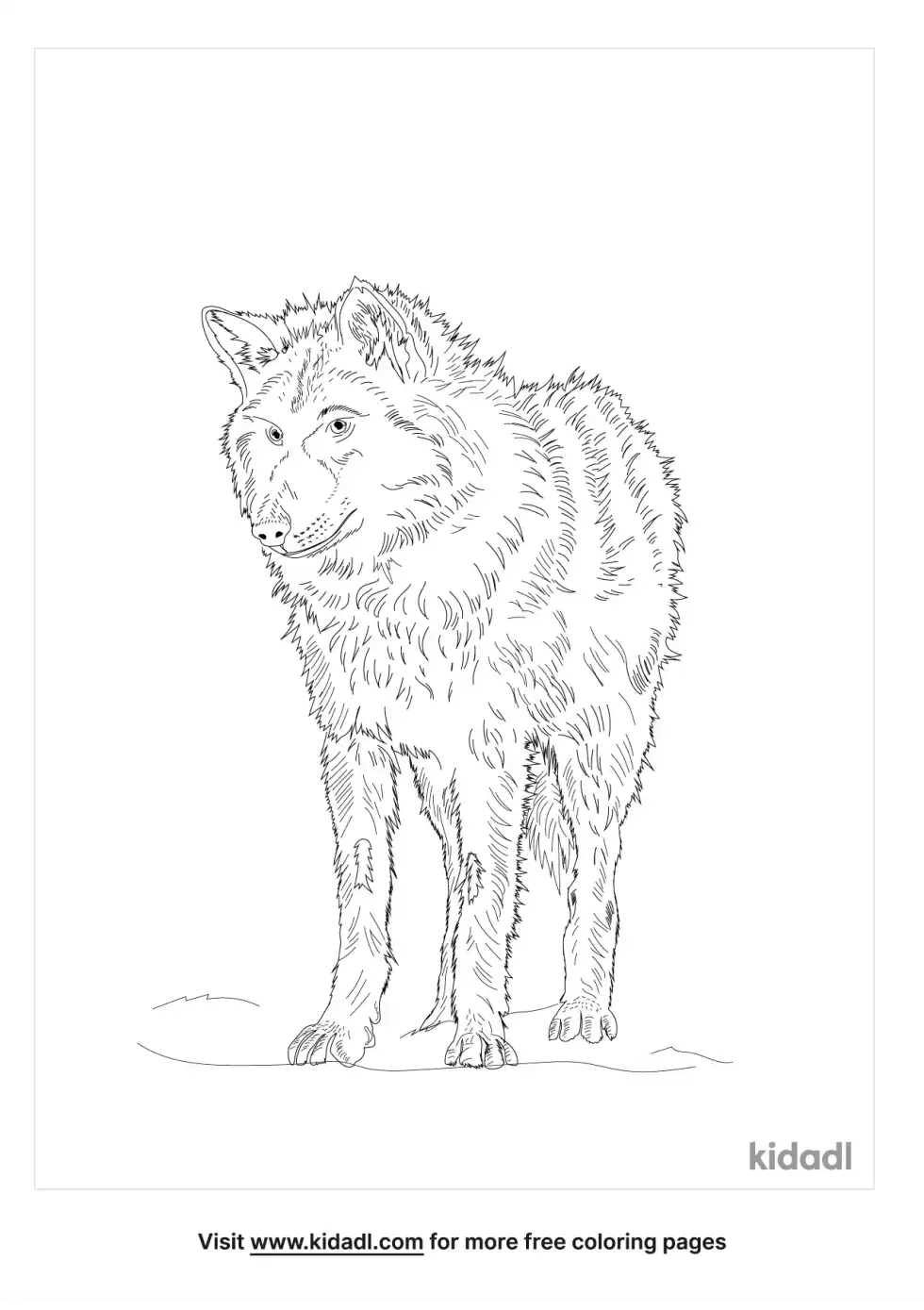 Mongolian Wolf Coloring Page