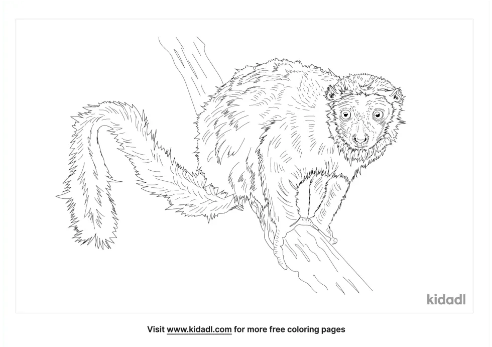 Mongoose Lemur Coloring Page