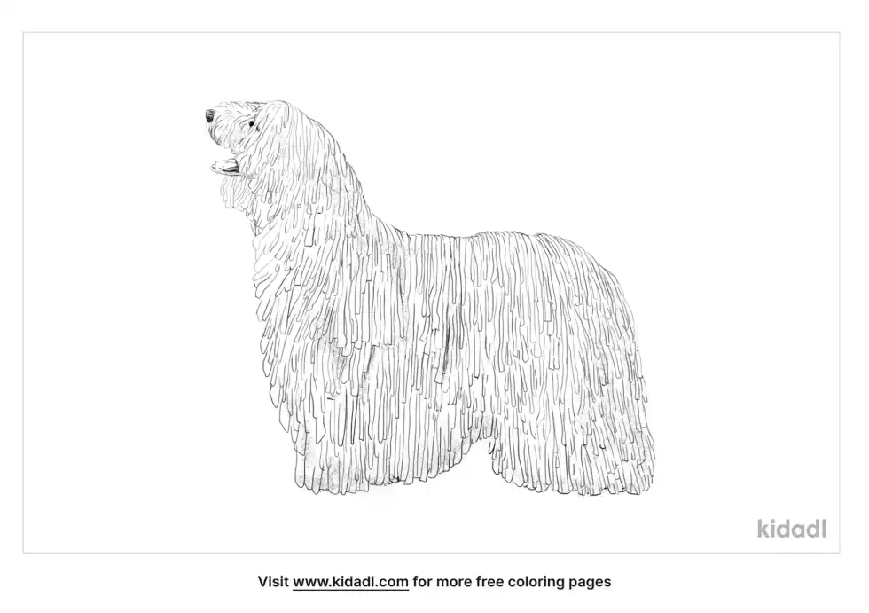 Komondor Coloring Page