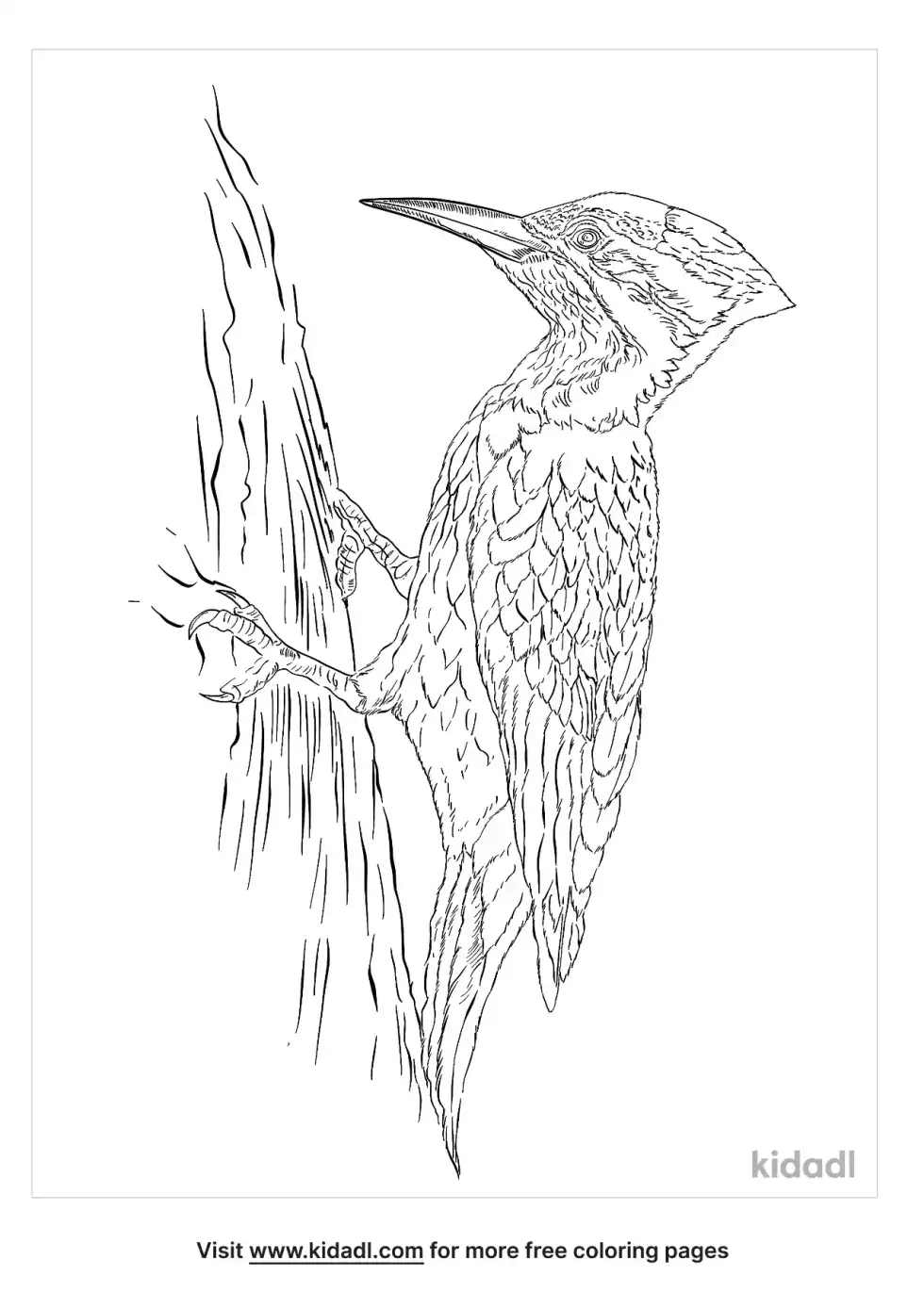 Red-Headed Woopecker Coloring Page