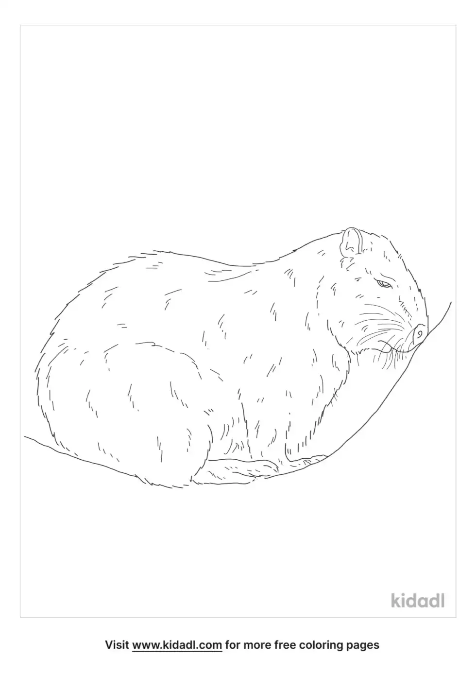 Desmarest's Hutia Coloring Page