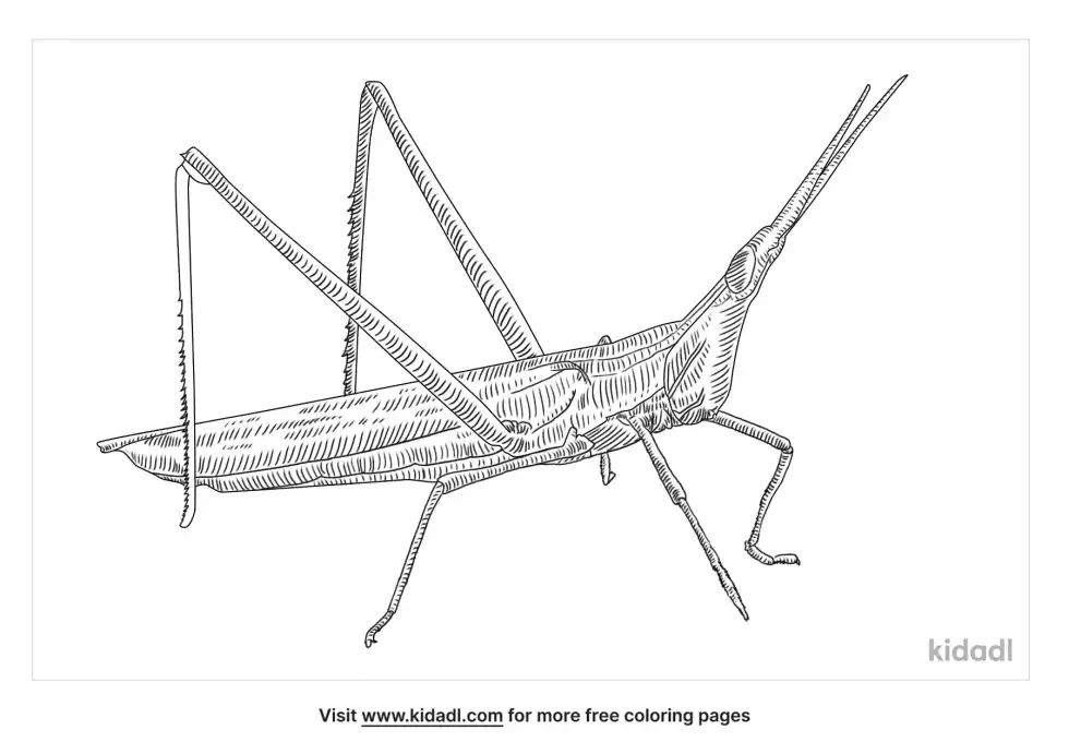Chinese Grasshopper Coloring Page