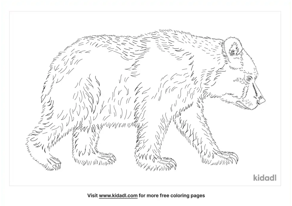 Cave Bear Coloring Page