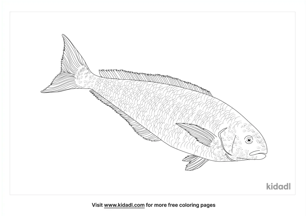 Ocean Whitefish Coloring Page