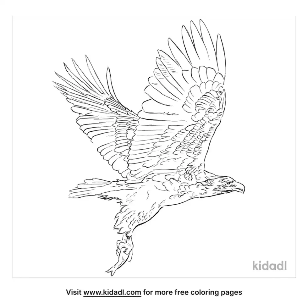 White-Tailed Eagle Coloring Page