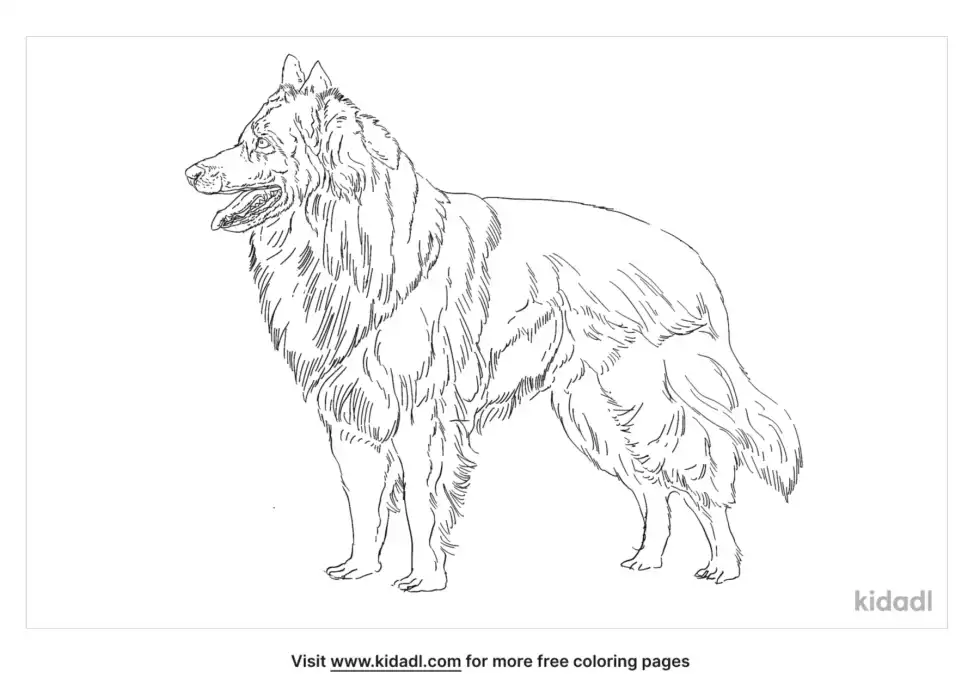 Wolfdog Coloring Page