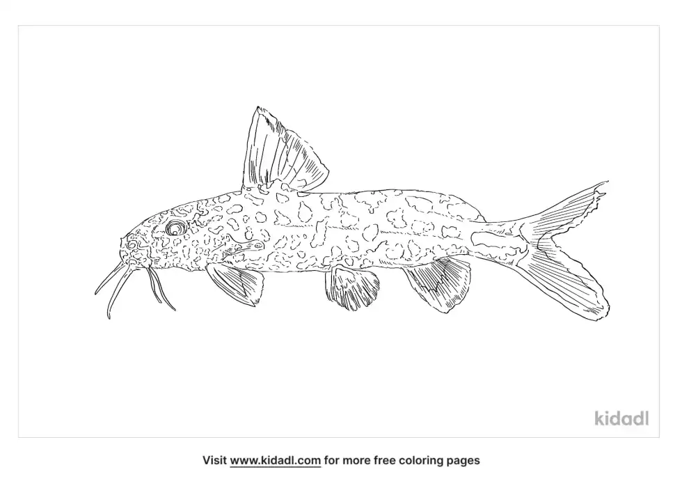 Leopard Catfish Coloring Page