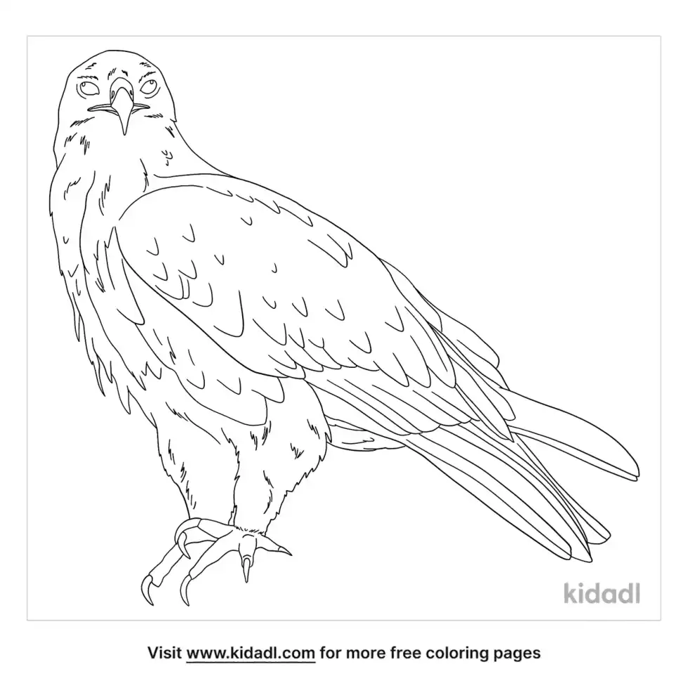 Tawny Eagle Coloring Page
