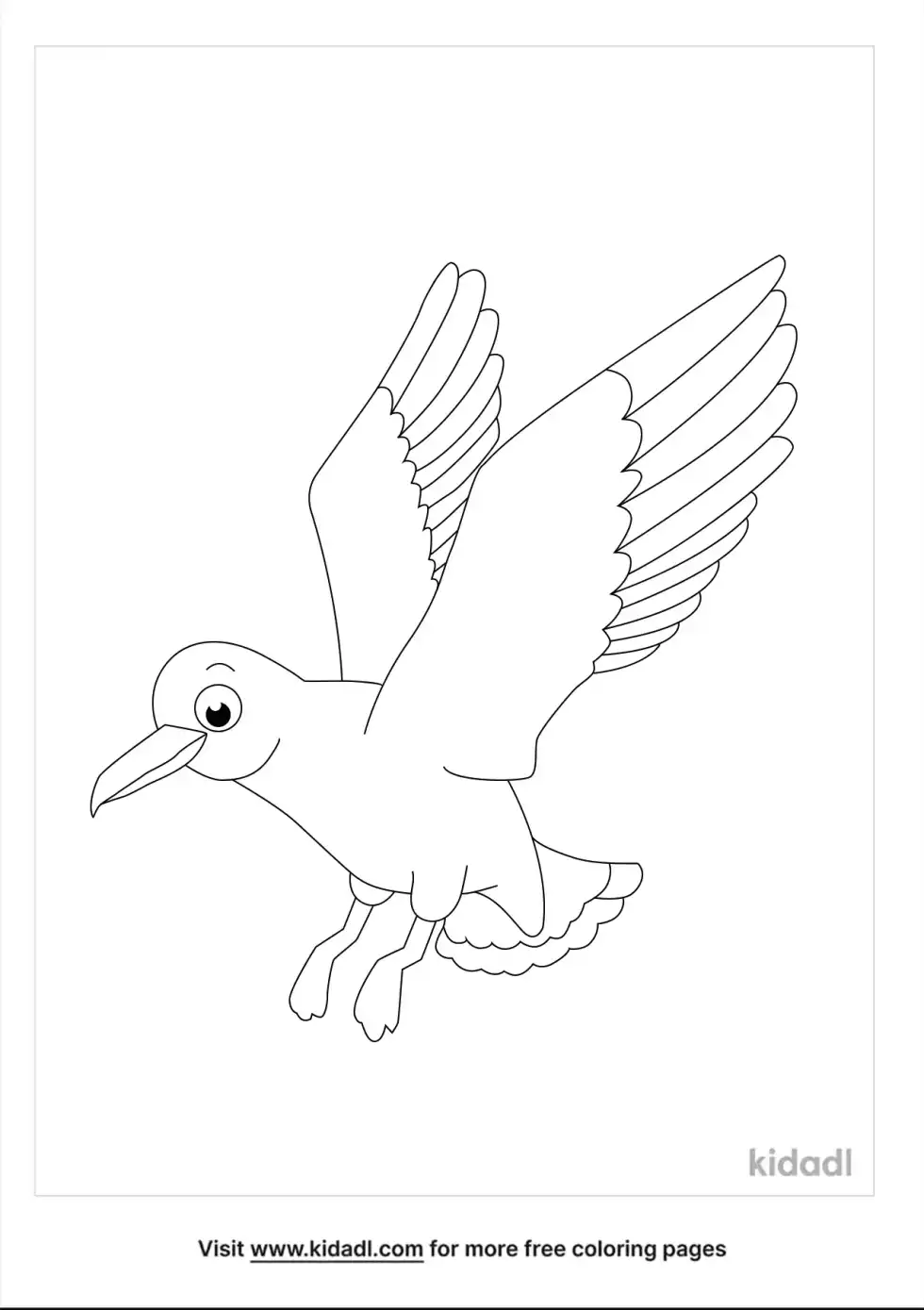Oystercatcher Coloring Page