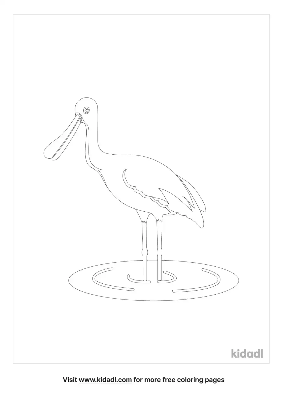 Spoonbill Bird Coloring Page