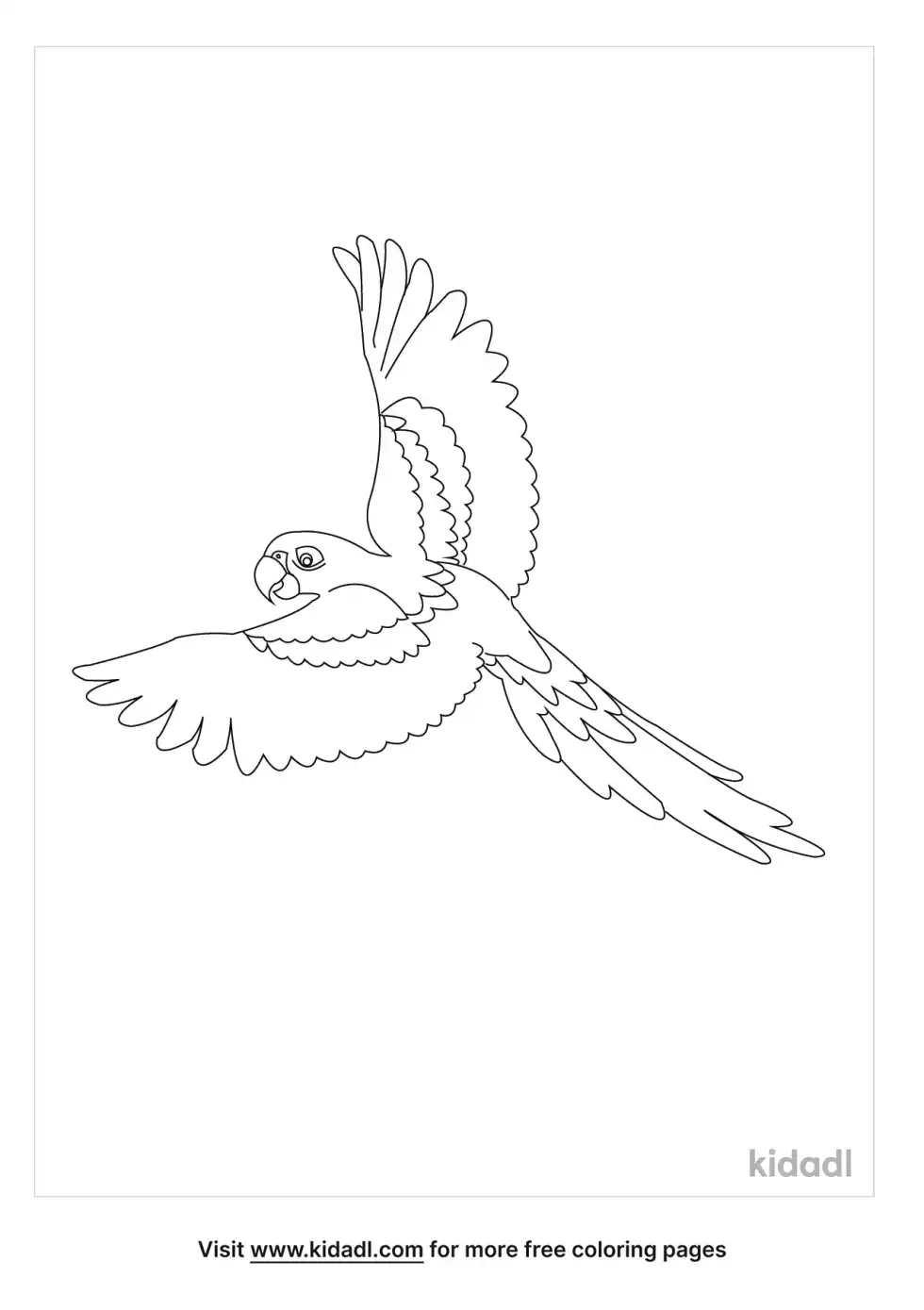 Flying Macaw Coloring Page