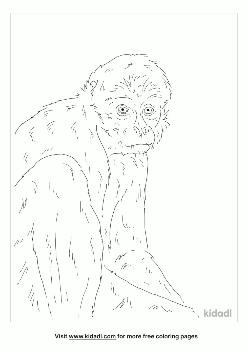 White Bellied Spider Monkey Coloring Page