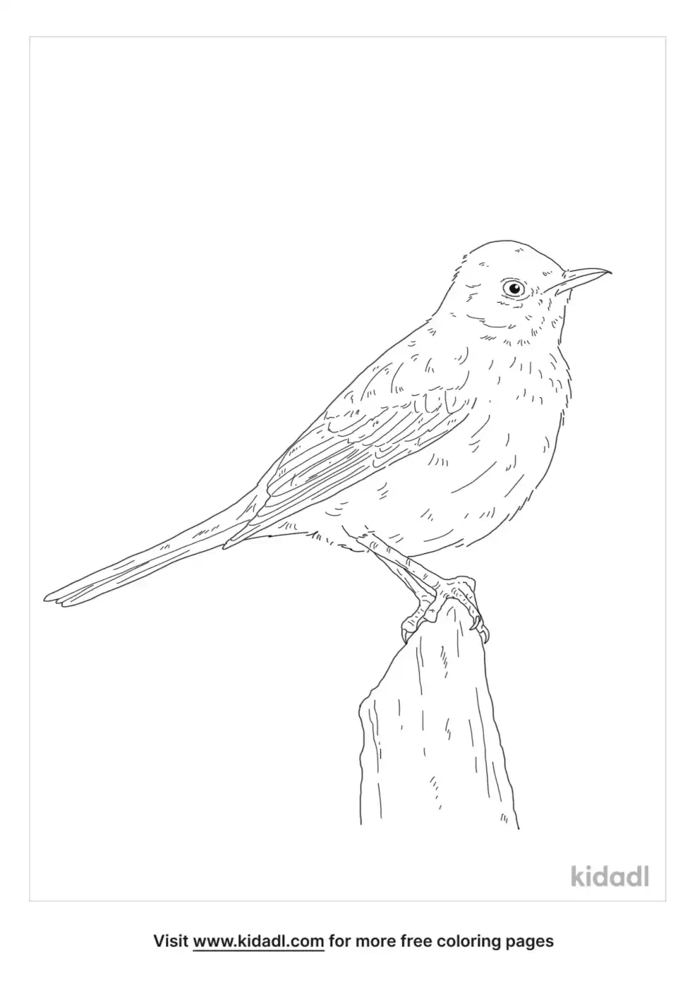 Sage Thrasher Coloring Page