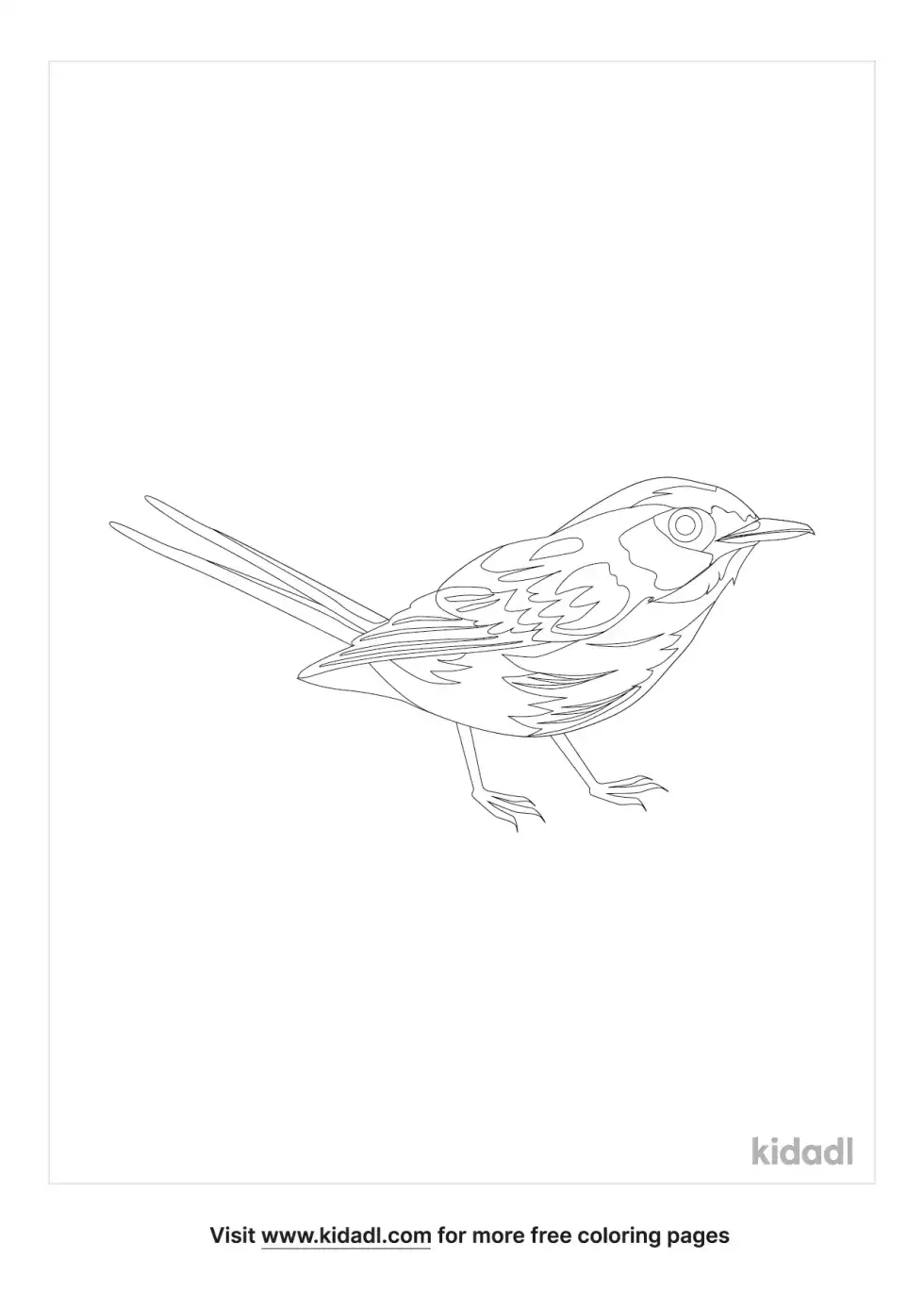 Eastern Bluebird Coloring Page