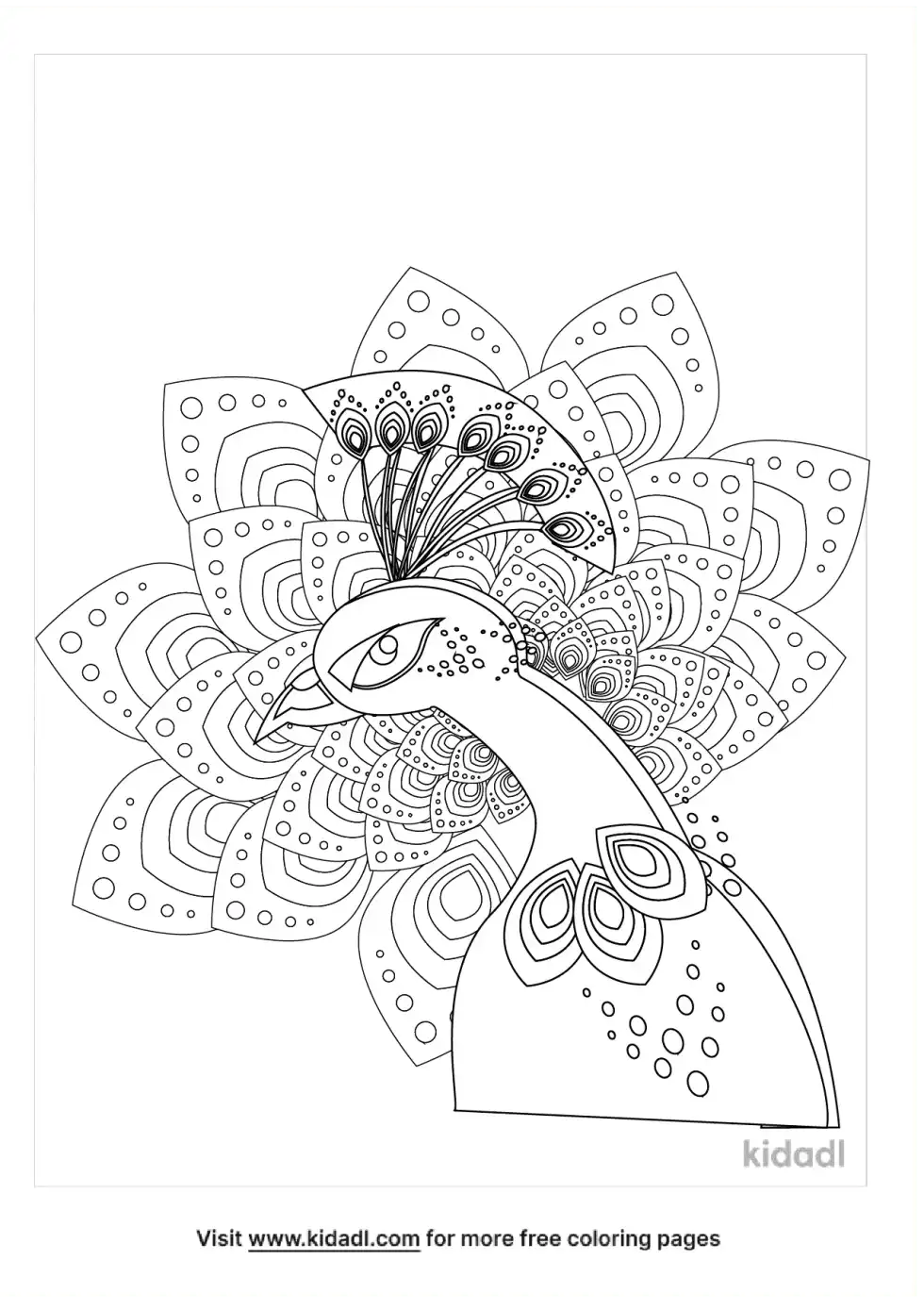 Celtic Peacock Coloring Page