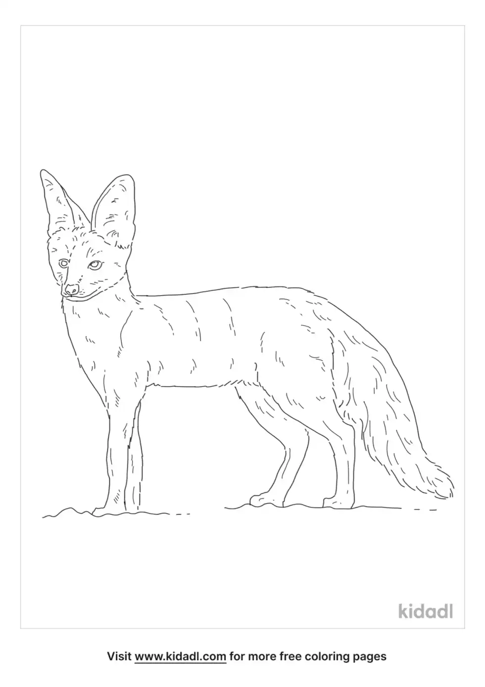 Blanford's Fox Coloring Page