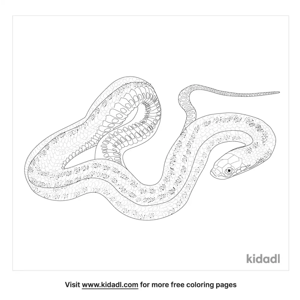 Glossy Crayfish Snake Coloring Page