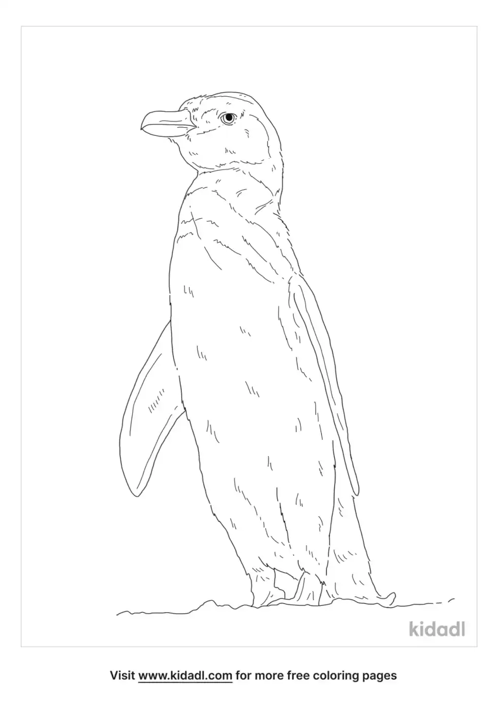 Banded Penguin Coloring Page