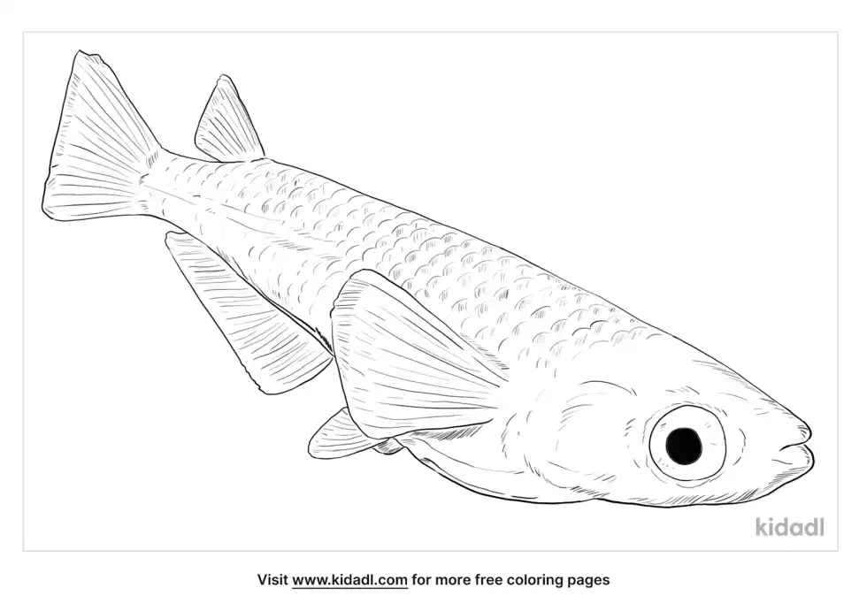 Japanese Rice Fish Coloring Page