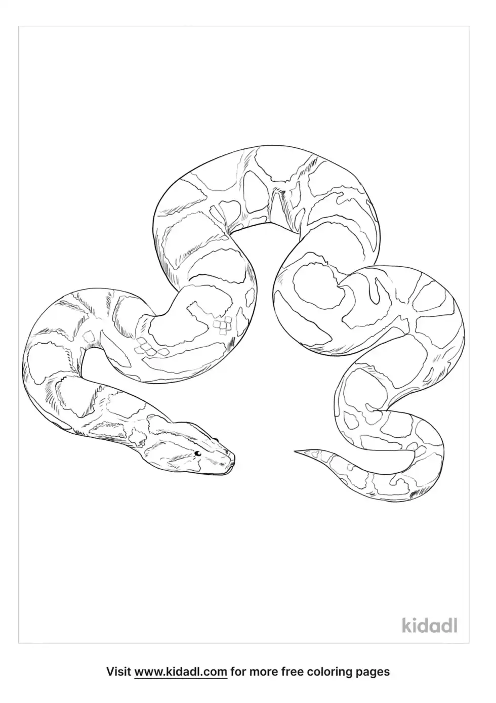 Indian Python Coloring Page