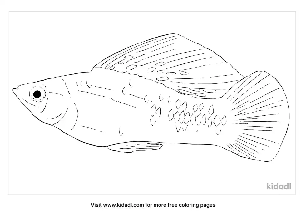 Molly Fish Coloring Page