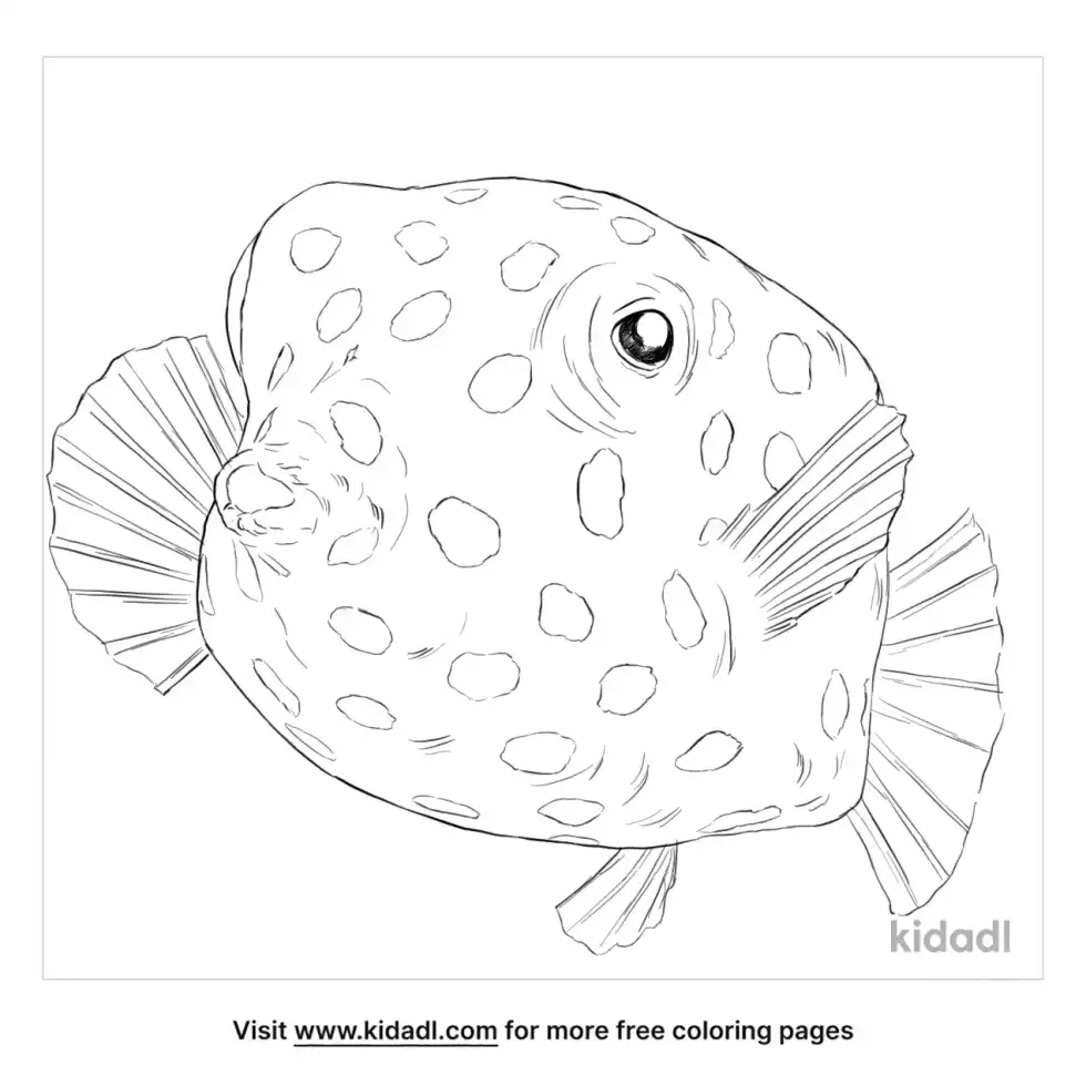 Yellow Boxfish Coloring Page