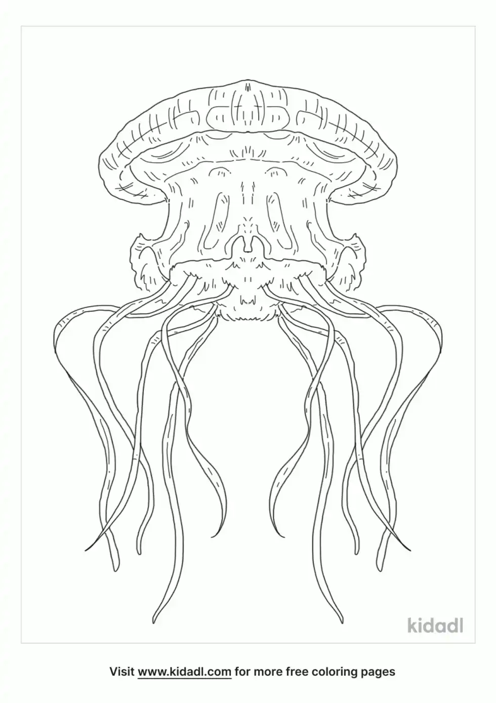 Crown Jellyfish Coloring Page