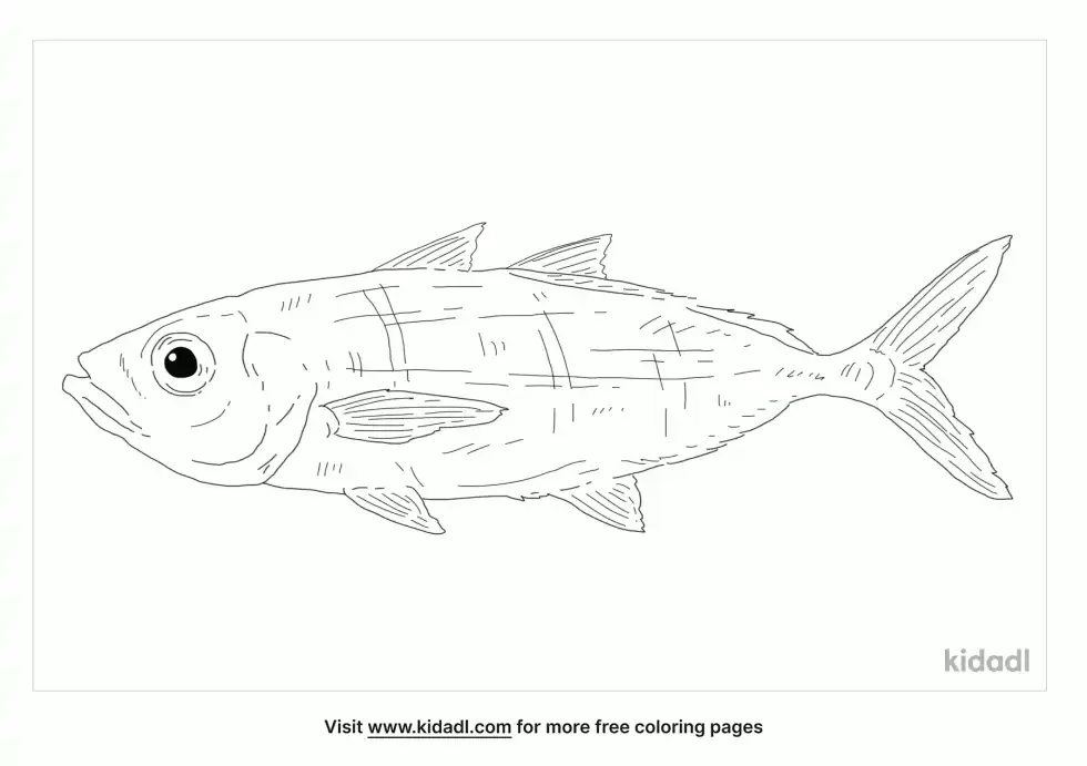Bigeye Scad Coloring Page