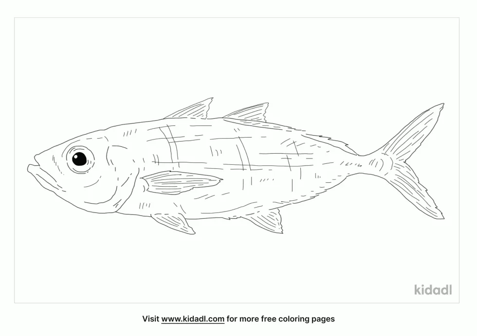 Bigeye Scad Coloring Page