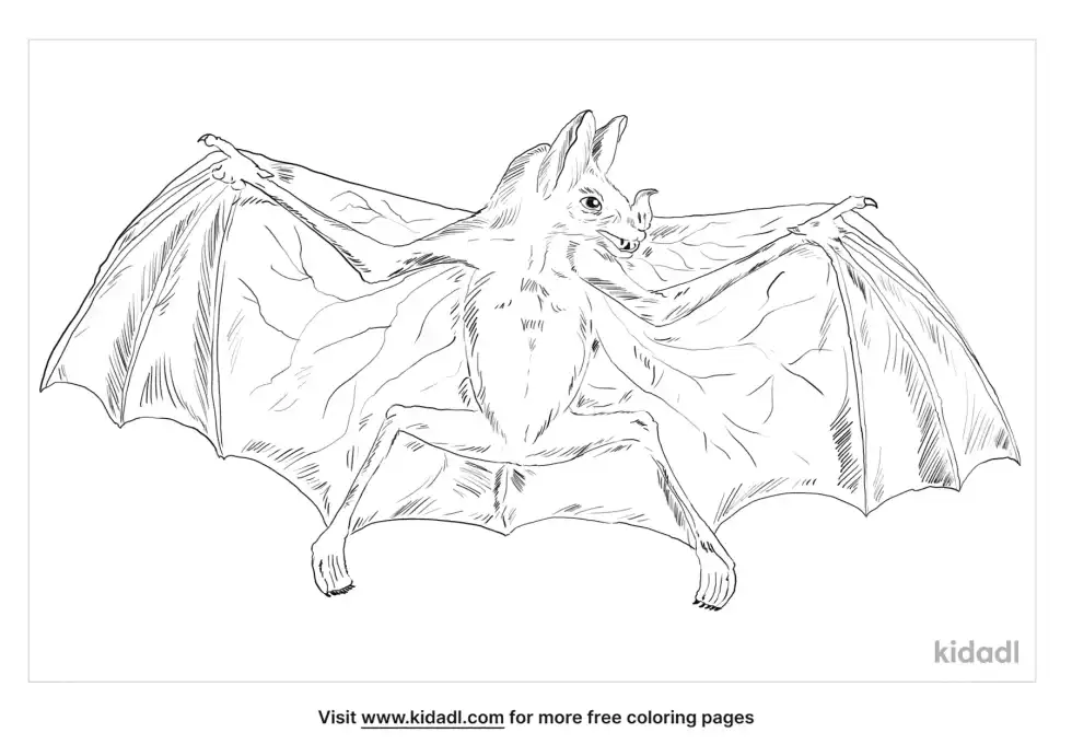 Spectral Bat Coloring Page