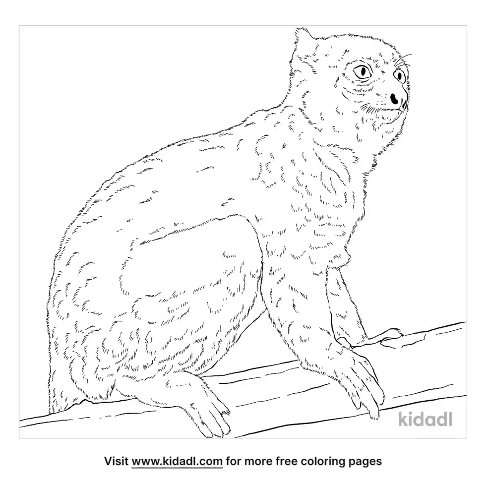 Greater Bamboo Lemur Coloring Page