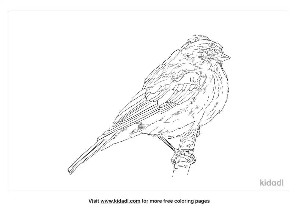 Rustic Bunting Coloring Page