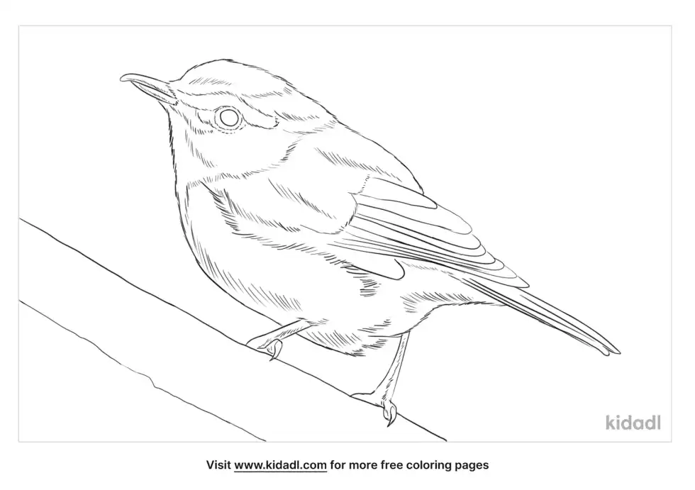 Vireonidae Coloring Page