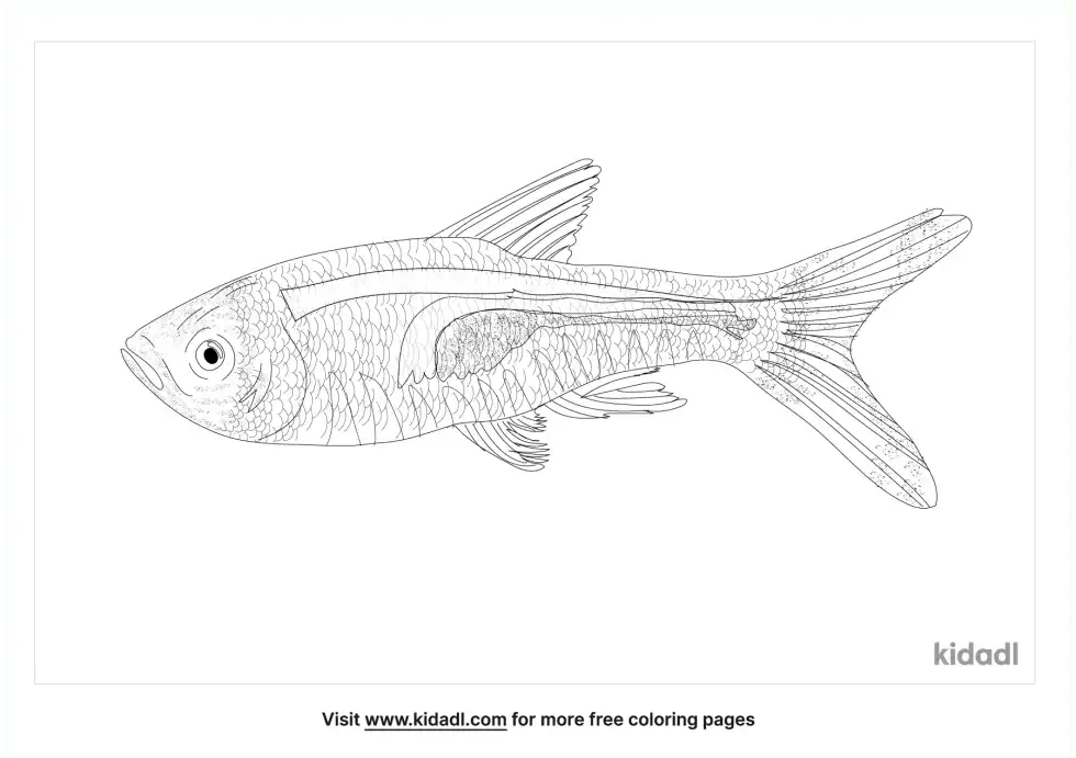 Lambchop Rasbora Coloring Page