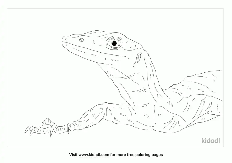 White Throat Monitor Coloring Page