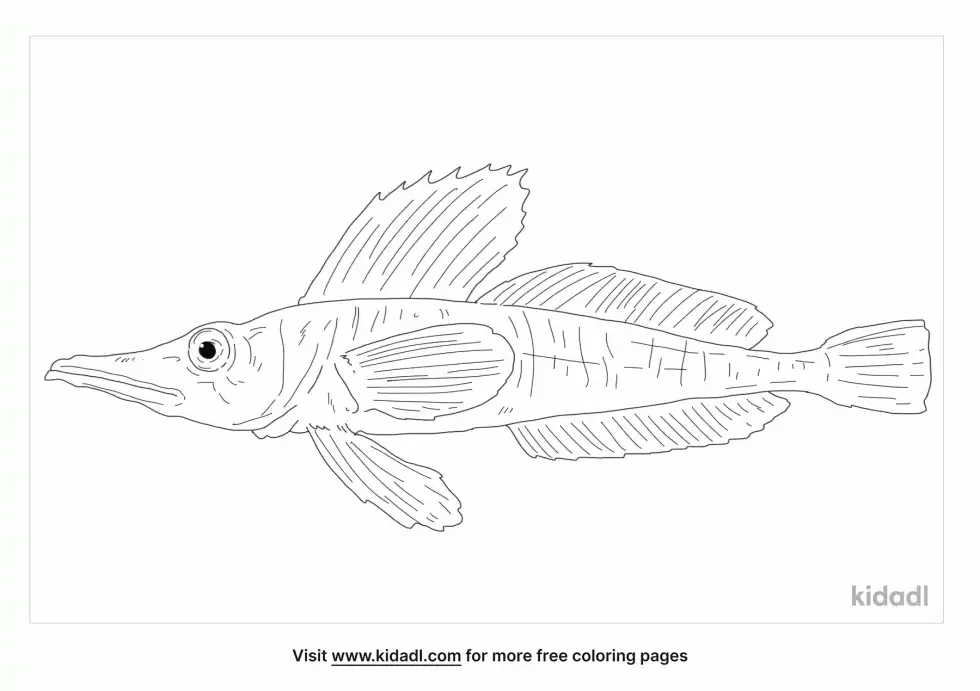 Crocodile Icefish Coloring Page